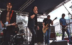 Honcho (foto: Øyvind Holen)