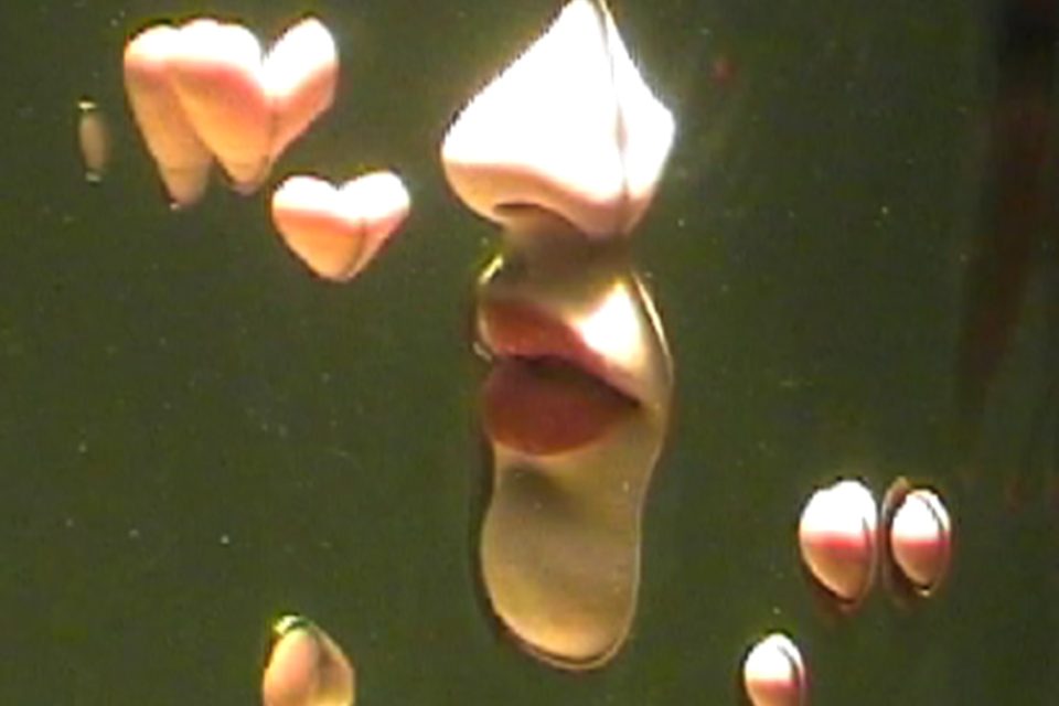 Hild Sofie Tafjord i No Title Performance and sparkling water (stort)