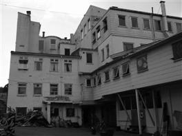 Hausmania