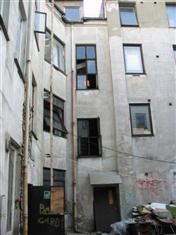 Hausmania2