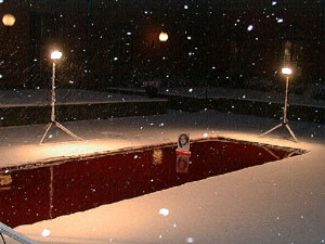 Dror Feiler: Snøhvit og galskapens sannhet