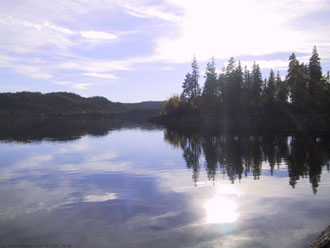 Katnosa! (Foto: Jon Øivind Ness)