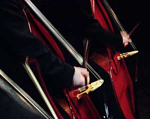 Bergen Filharmoniske Orkester – kontrabasser (foto: Eirik Reitan)