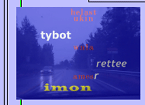 Muliot, illustrasjon/Foto: NOTAM