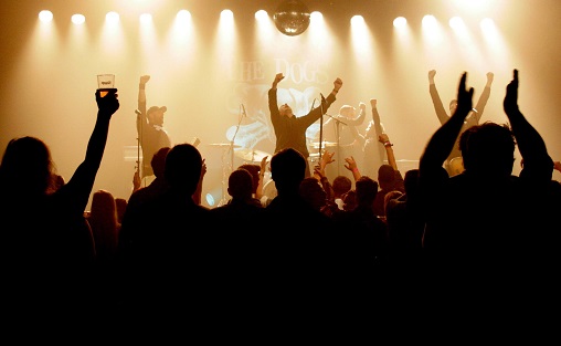 The Dogs Foto: Kroa i Bø