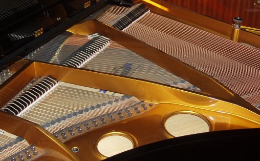 Innsiden av et flygel