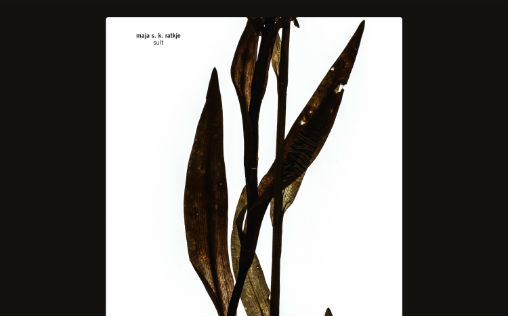 Utsnitt av albumcoveret til &laquo;Sult&raquo;. Coveret er designet av Kim Hiorthøy