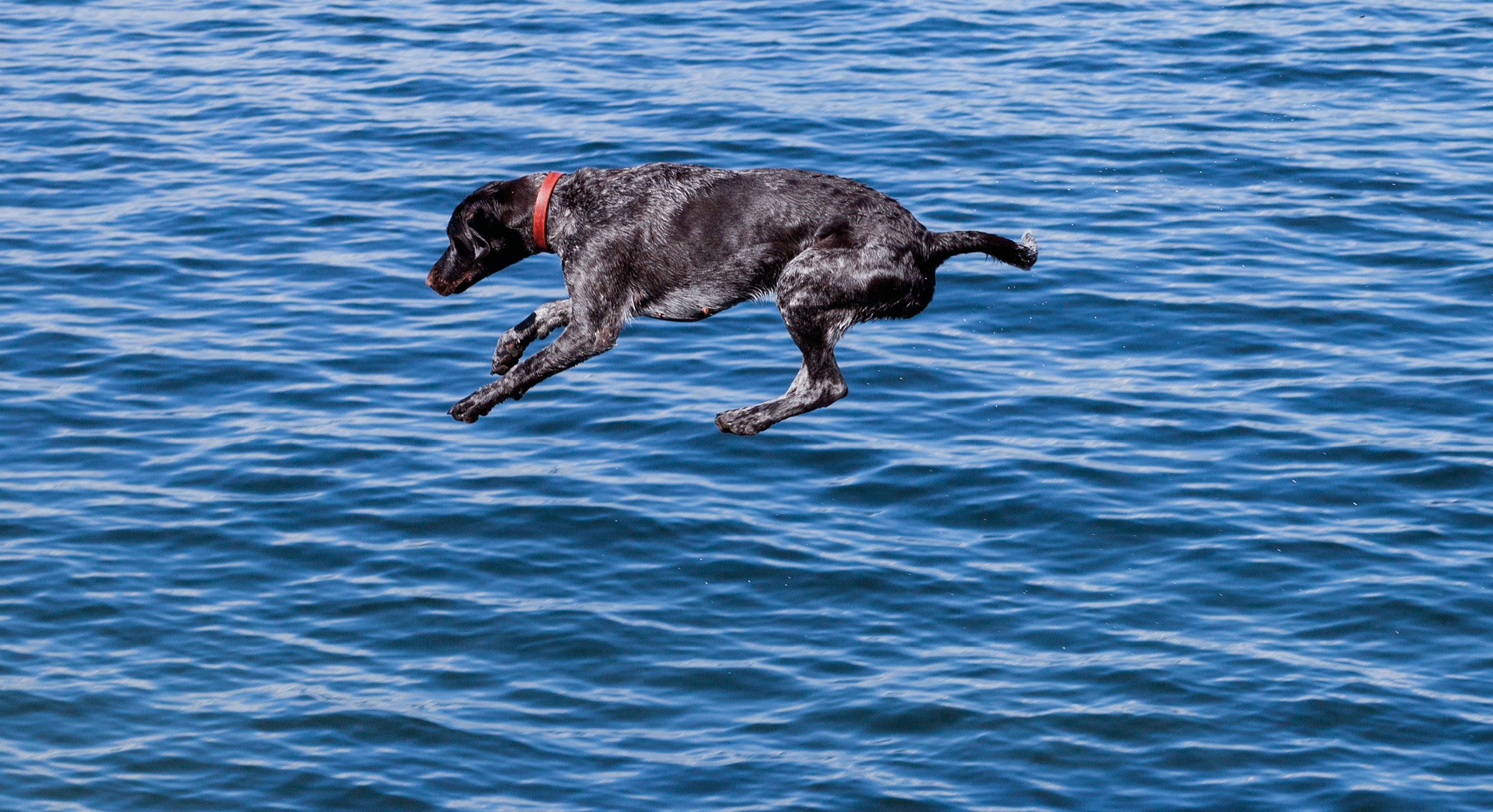 Utsnitt av platecoveret til Lysne/Eilertsens Kroksjø