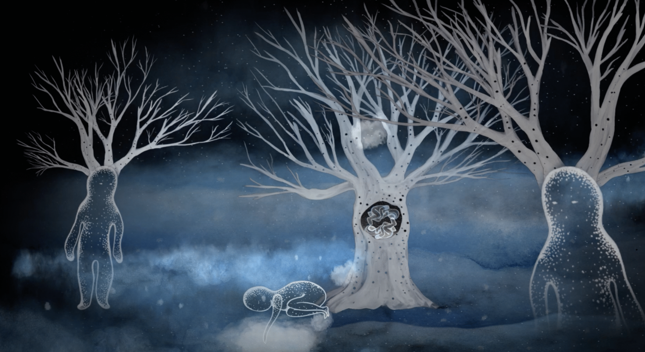 Stillbilde fra Heidi Torsvik og Winter Lazerus’ video Hidden Soul of the Fjords – Trees That Whisper