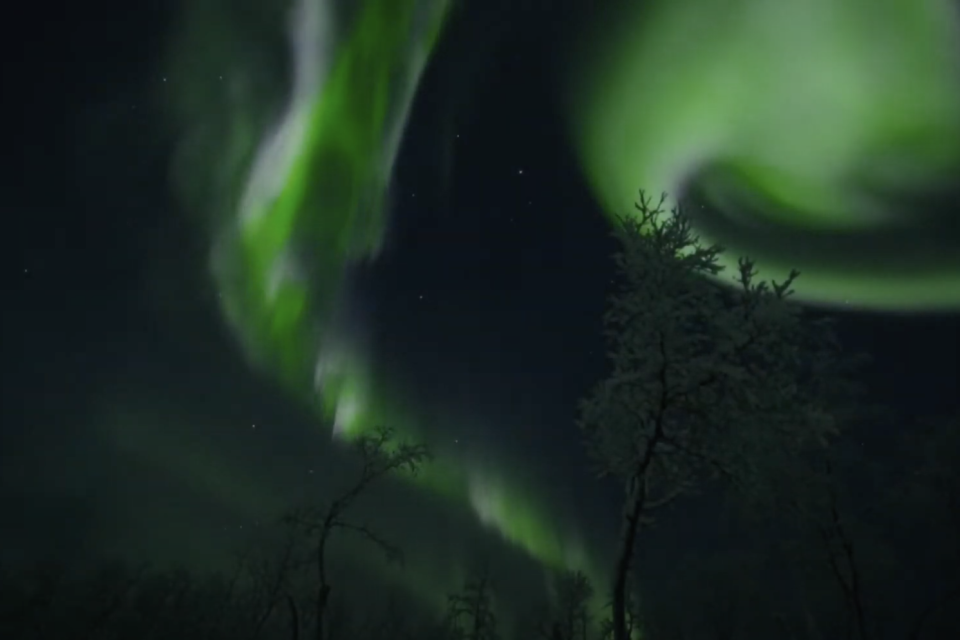 Nordlyset. Stillbilde fra Kajsa Baltos video Min máttuid rávvagat / The Advice from our Ancestors