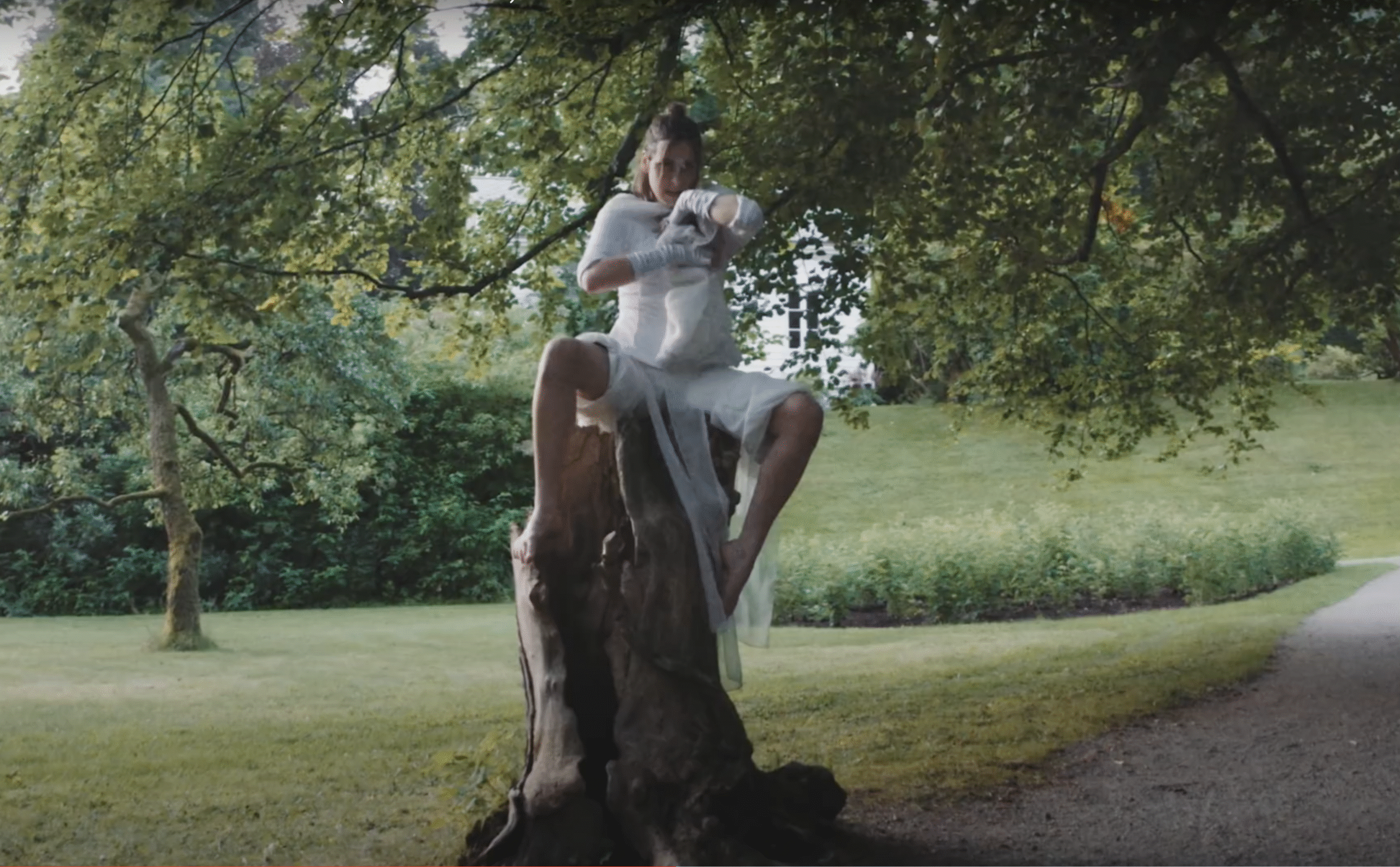 Stillbilde fra videoen Lavender and heaven av IRIS