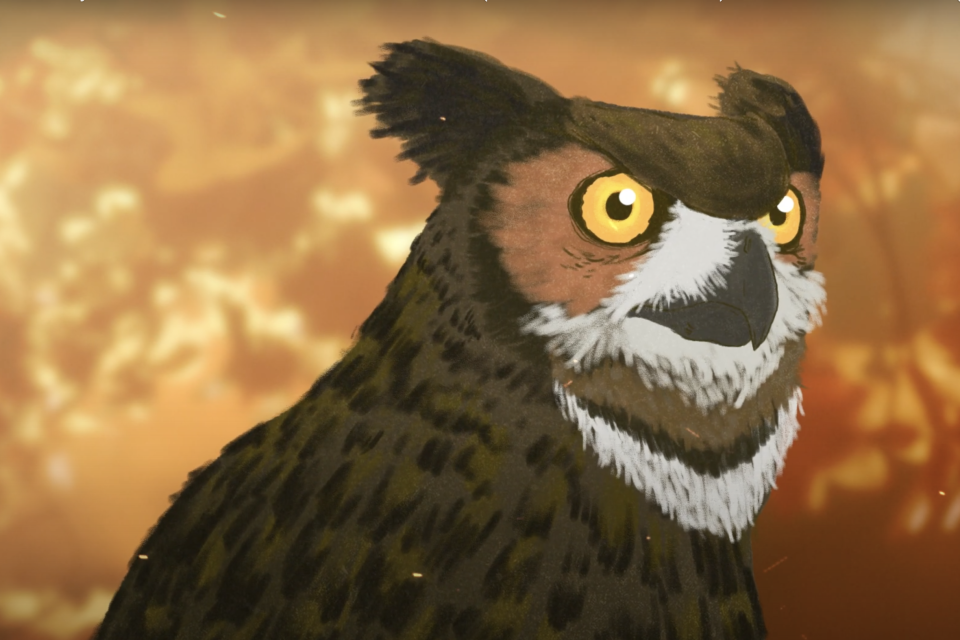 Skjermbilde 2021 01 08 kl. 10.12.28