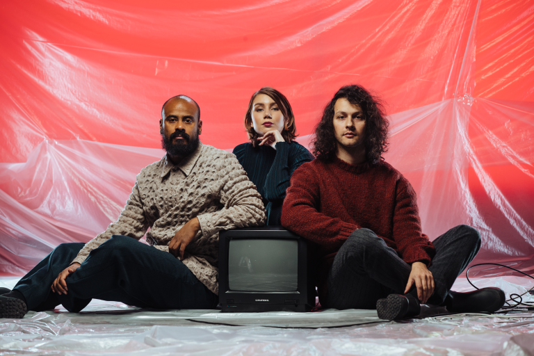 Gjennomherdet aktivist