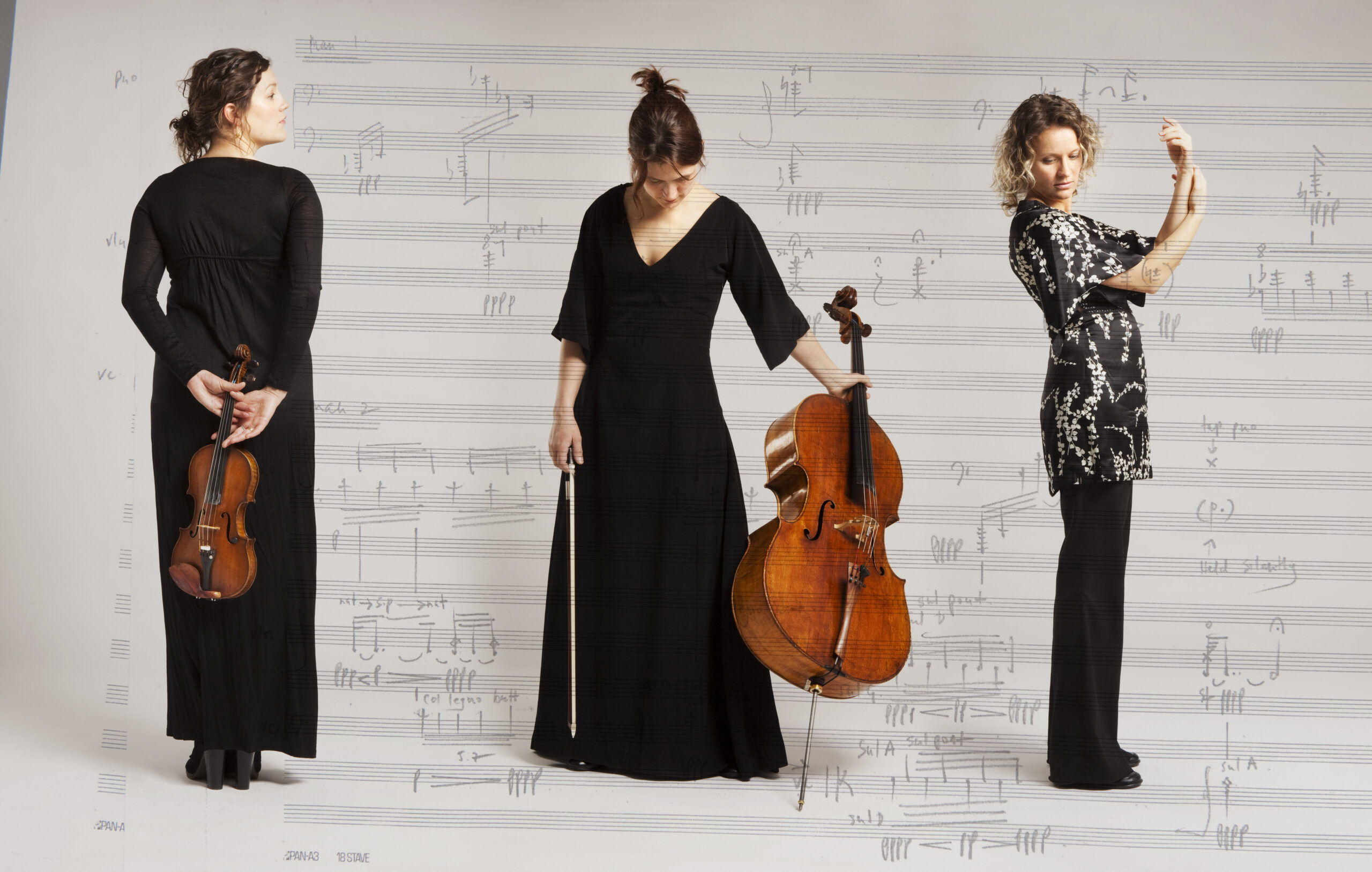 Alpaca Ensemble