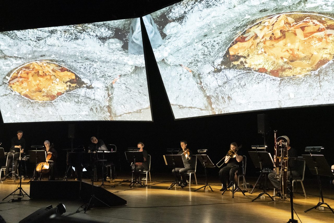 BIT20 spiller Tine Surel Langes Living Landscapes