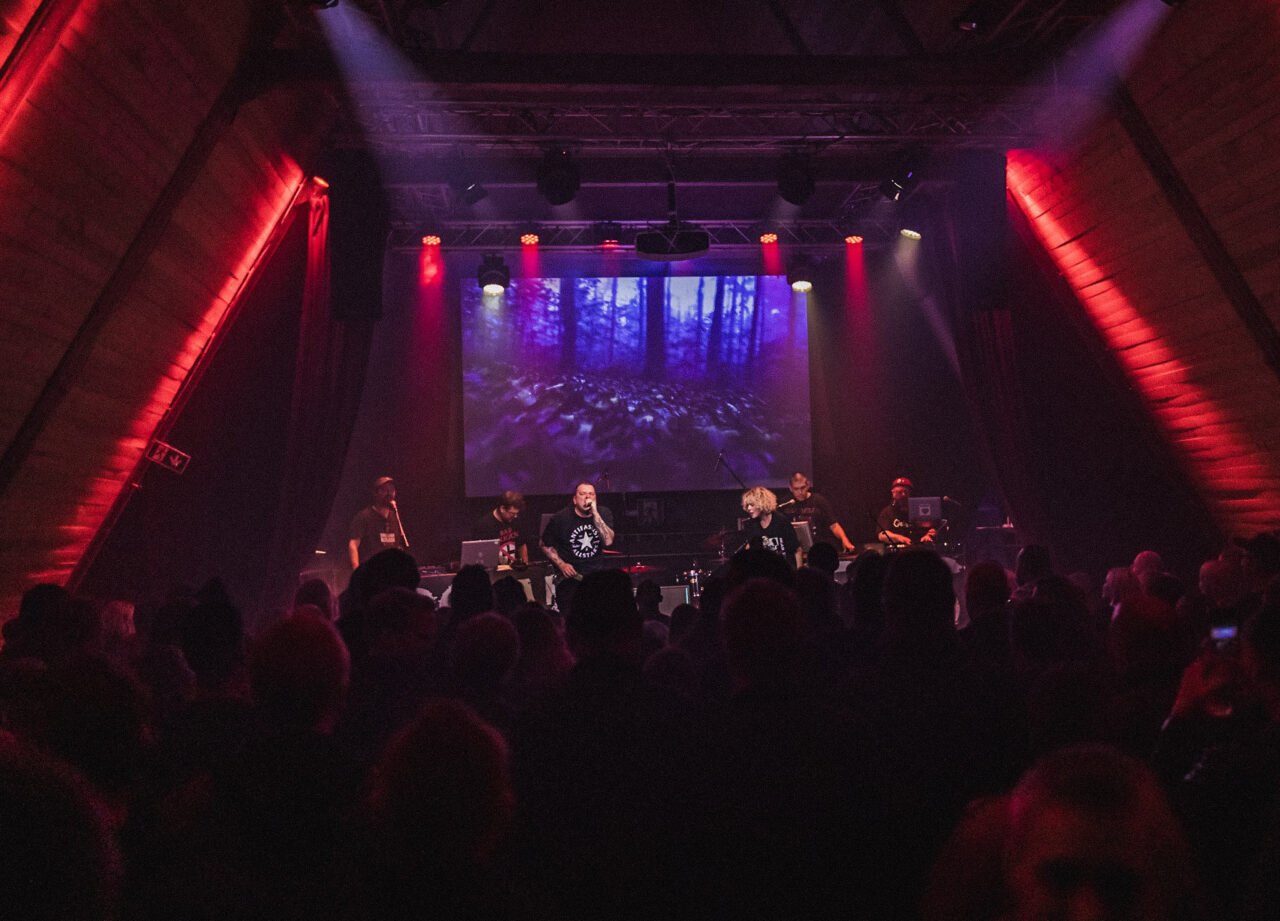 Polardegos og Brutal Kuk på konsert på SALT.