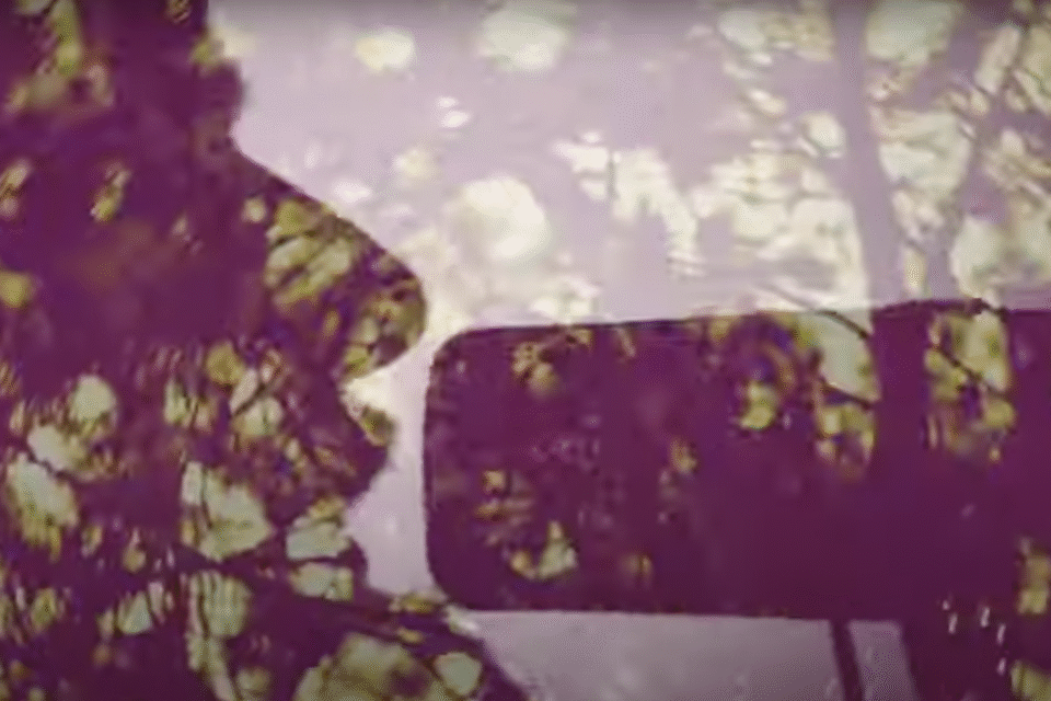 Erlend Ropstad – Heilt uten synd