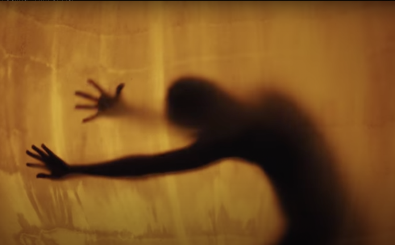 Sei Selina stillbilde video