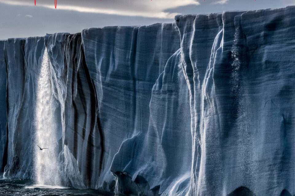 GIGATON a1 49cf 8838 bcfbbcdb8886