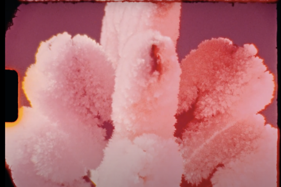 Stillbilde fra videoen til Kim Myhr