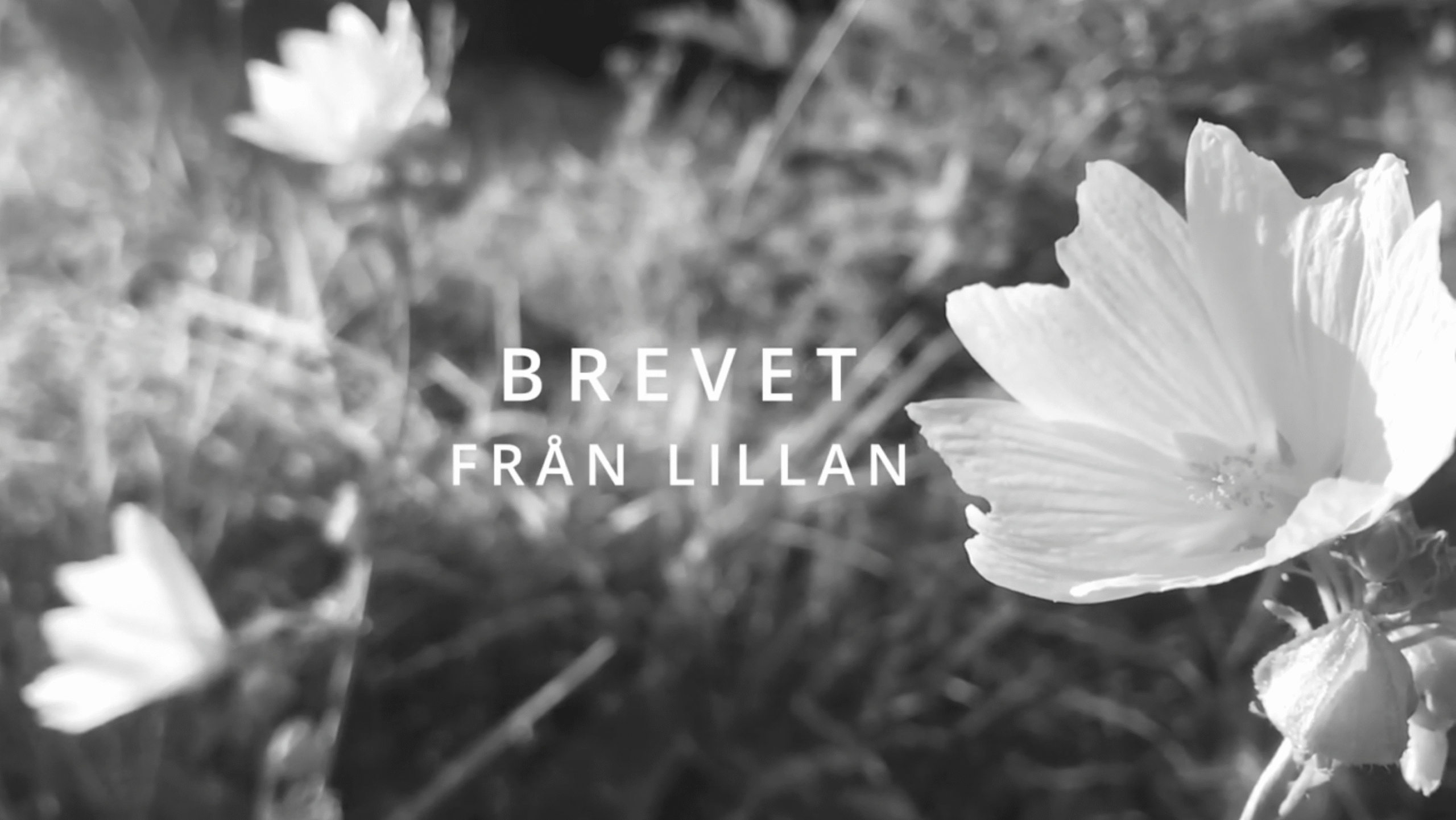 Stillbilde fra Stefan Sundström Brevet från Lillan