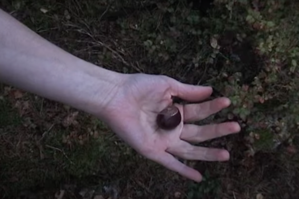 Skjermbilde 2025 02 20 kl. 17.56.04