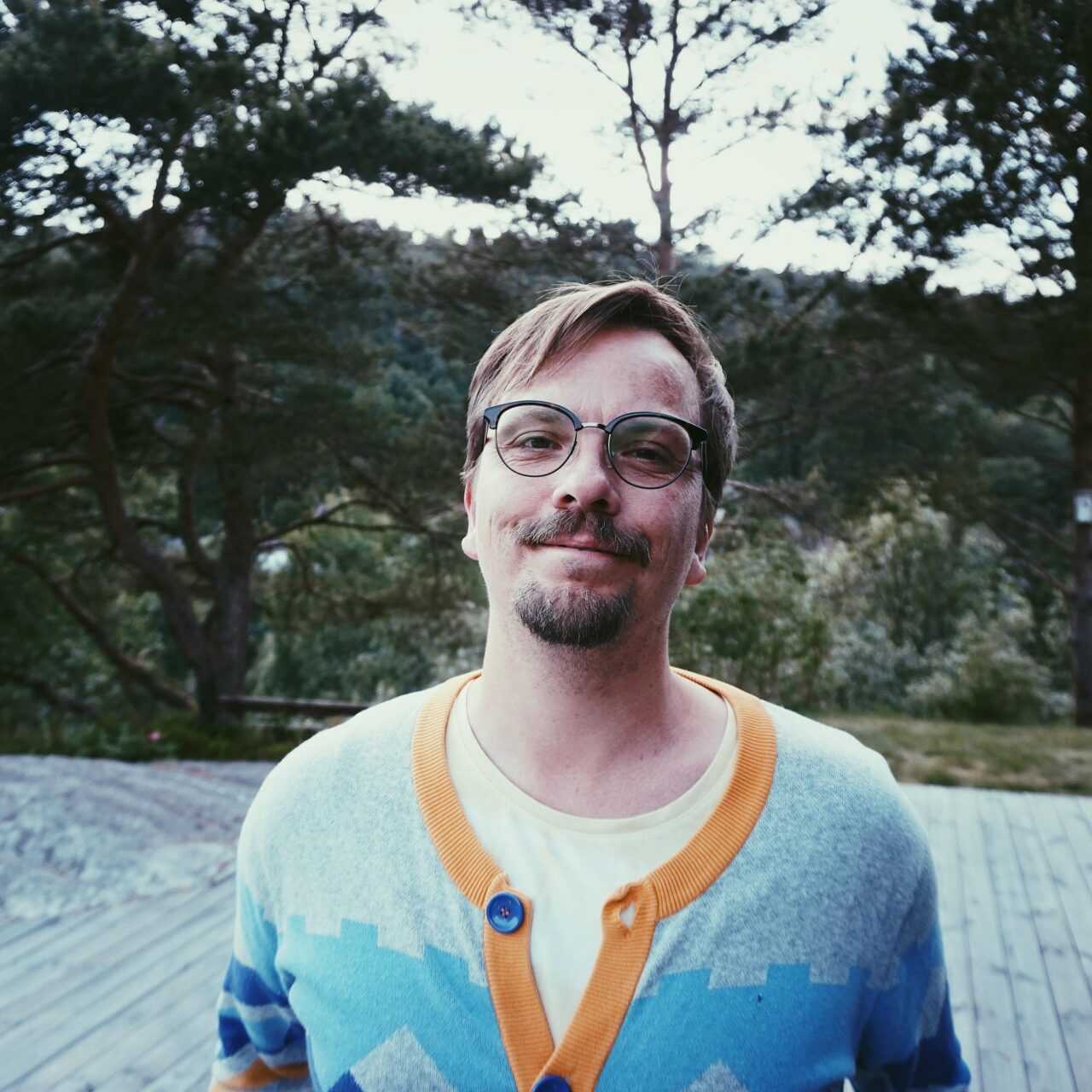 Hans Martin Austestad