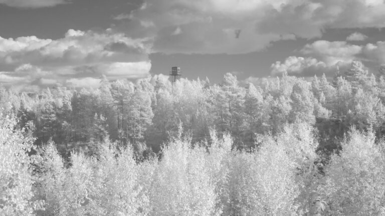 – Kanskje vil lyden som lagres i kunsten overleve all digitalisering