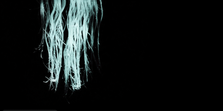 Ballade video: Du kan ikke høre meg