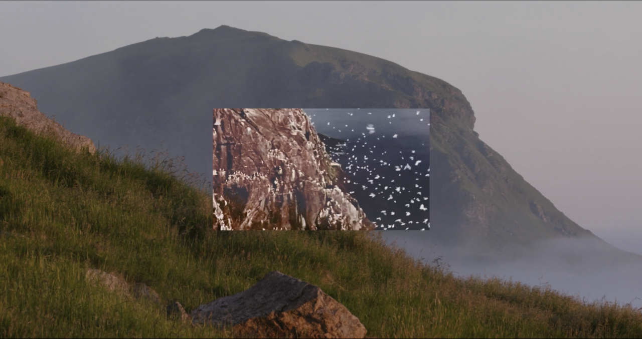 Stillbilde fra Klagesanger til fuglefjellet som mista stemmen / Arme låddebávtijda ma lij sjávvunam