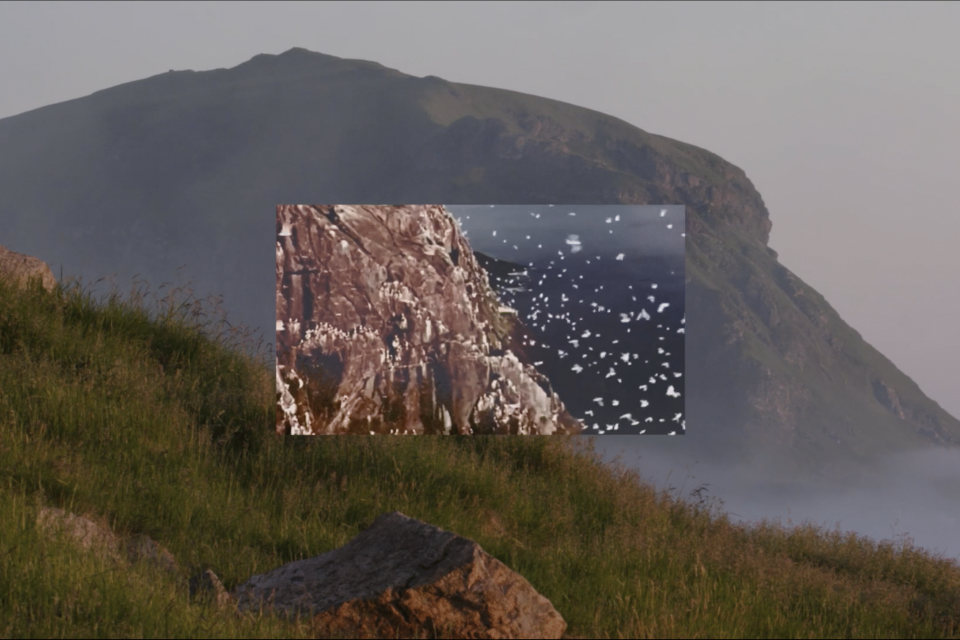 Stillbilde fra Klagesanger til fuglefjellet som mista stemmen / Arme låddebávtijda ma lij sjávvunam