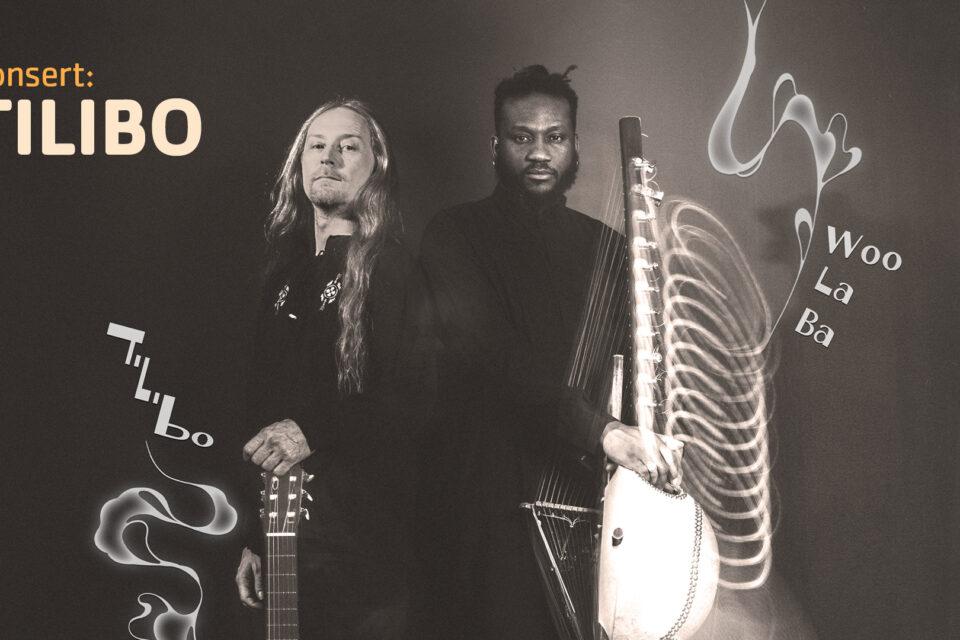 Tilibo Web 1920x10803