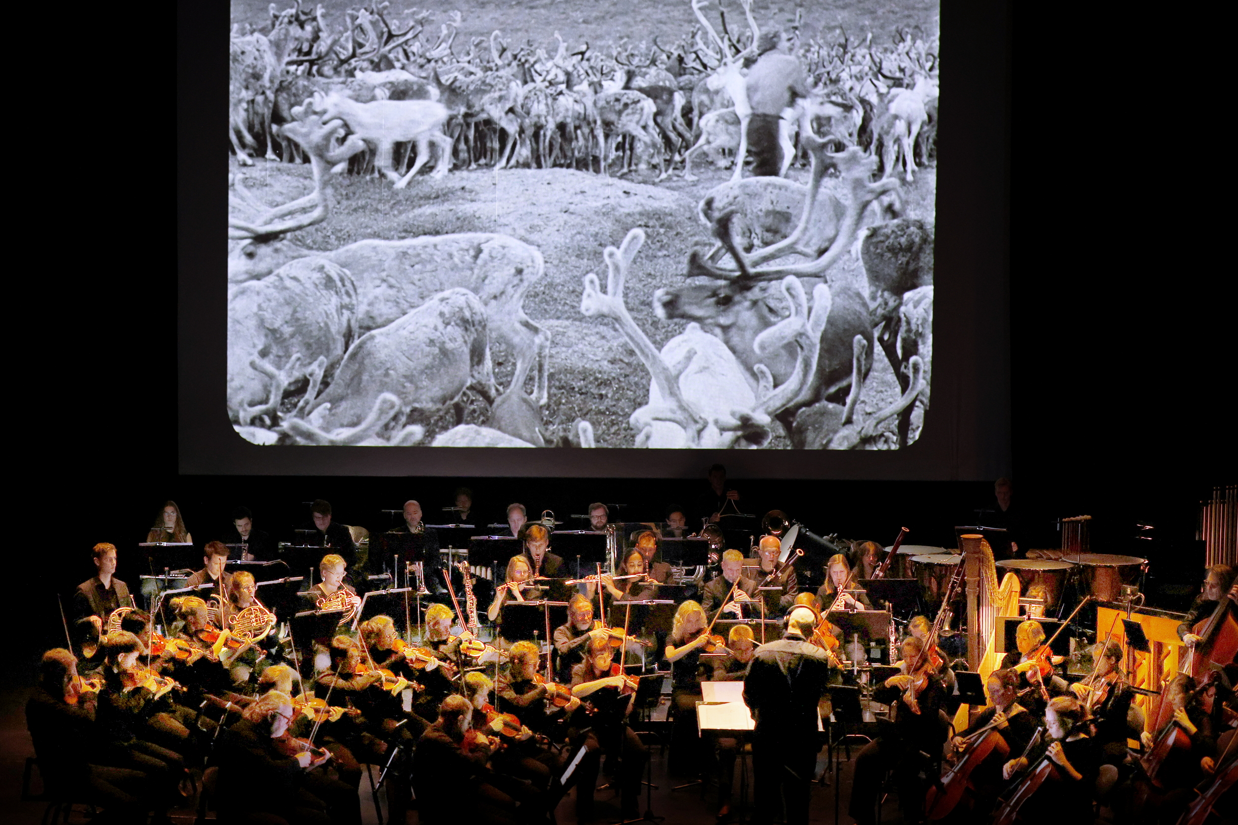 Laila film og konsert